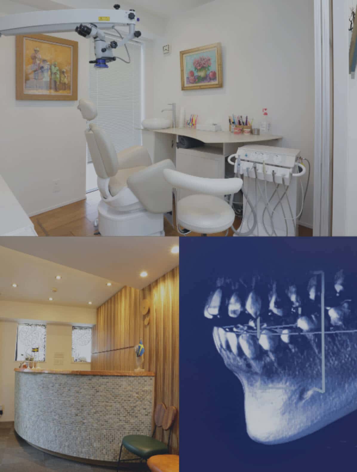 根拠に基づいた診査診断包括的な歯科診療を あらゆる角度から病気の原因を探り出し可能な限り再発させない北欧式治療を提供 麻布十番駅徒歩5分 完全予約制 歯周病専門医