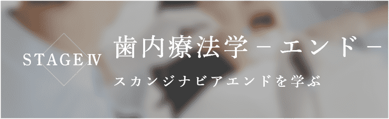 STAGEⅣ 歯内療法学